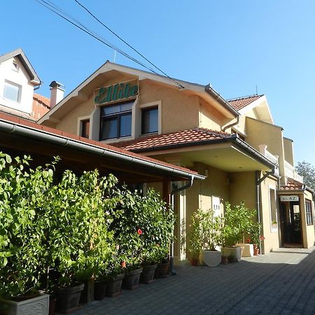 Guesthouse Ellite Pozarevac Luaran gambar